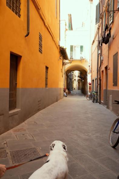 Pisa Appartamento Notari ภายนอก รูปภาพ
